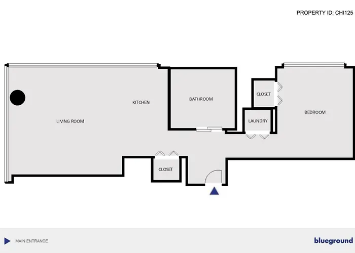 Appartamento River N 1br W Gym Pool Nr Magnificent Mile Chi-125 Chicago